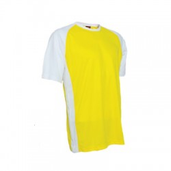 QD3604 Yellow/White