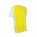 QD3604 Yellow/White