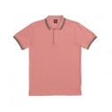 HC 1029 Peach / Brown