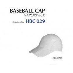 HBC 029A